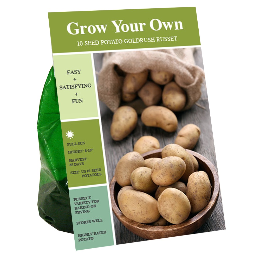 ビンテージ 作家 unknown golden potato object ビンテージ 作家