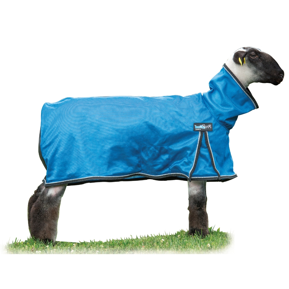 Weaver Leather Livestock ProCool Sheep Blanket with Reflective