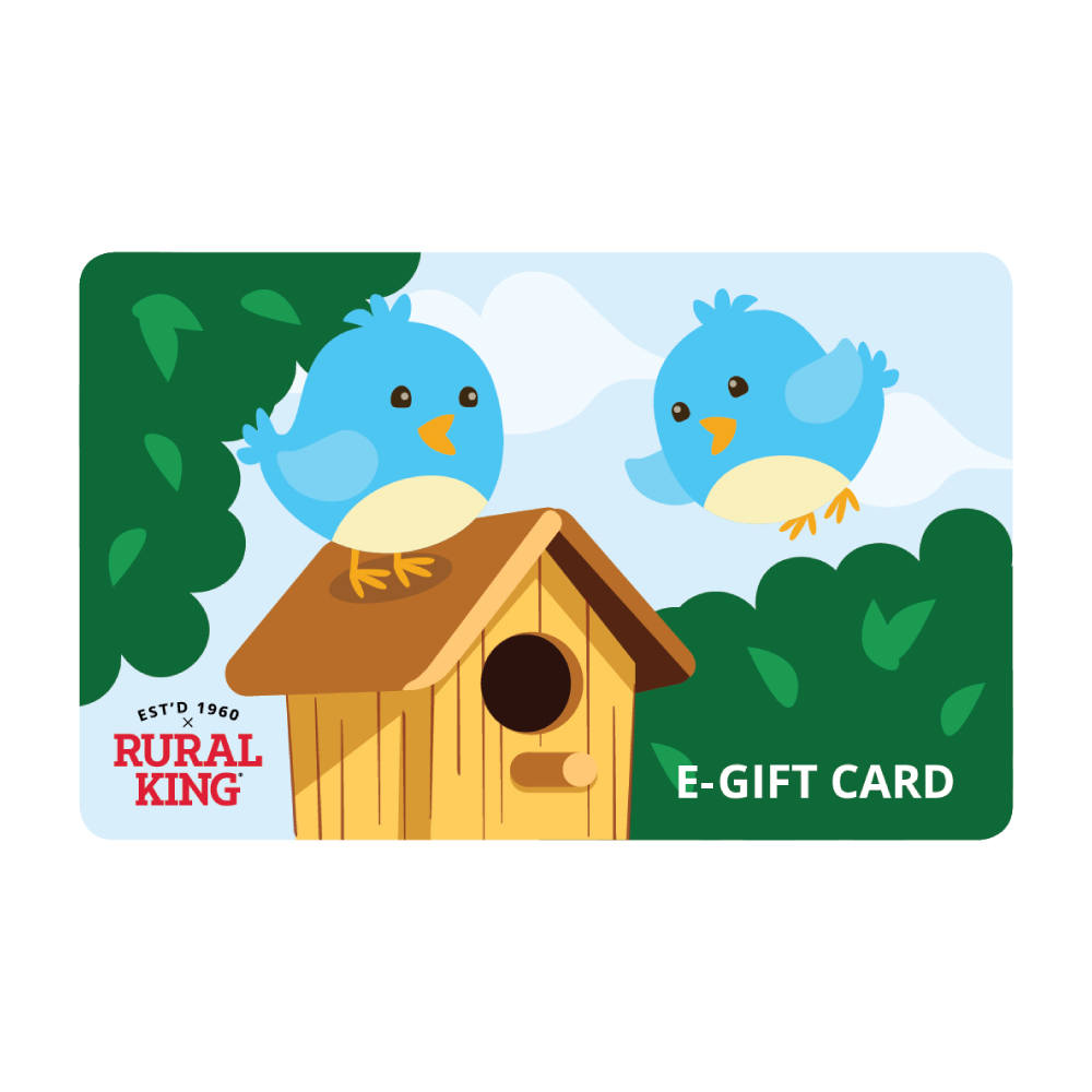 eGift Card