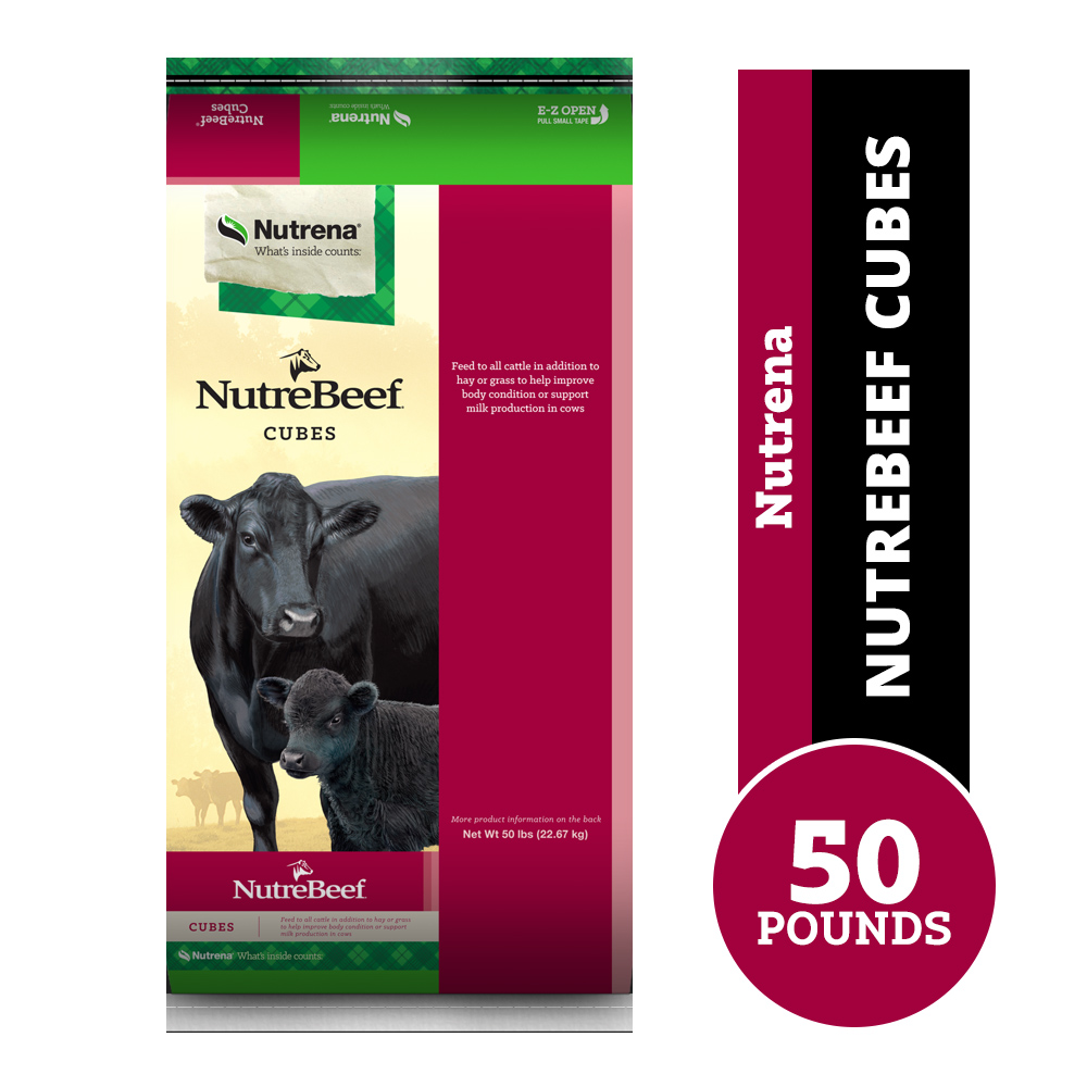 Nutrena NutreBeef Cattle Cubes, 50 lb. Bag Rural King