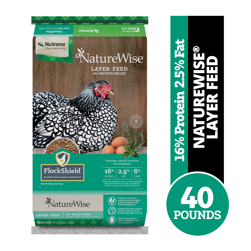 Chicken Feed Rural Kingnull