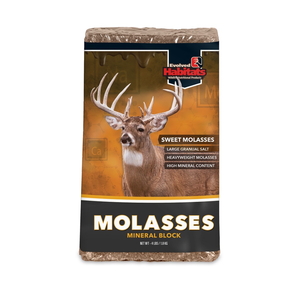 Evolved Molasses Block EVO35001 Rural King