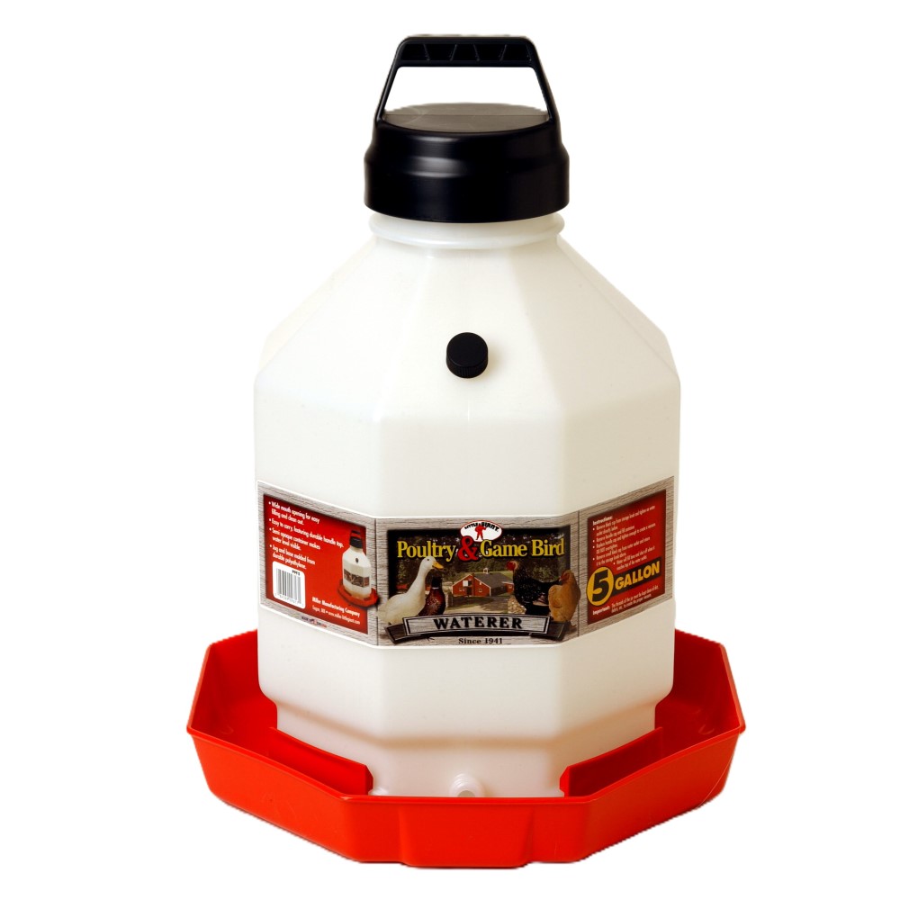 Little Giant Plastic Poultry Chicken Waterer, 5 Gallon