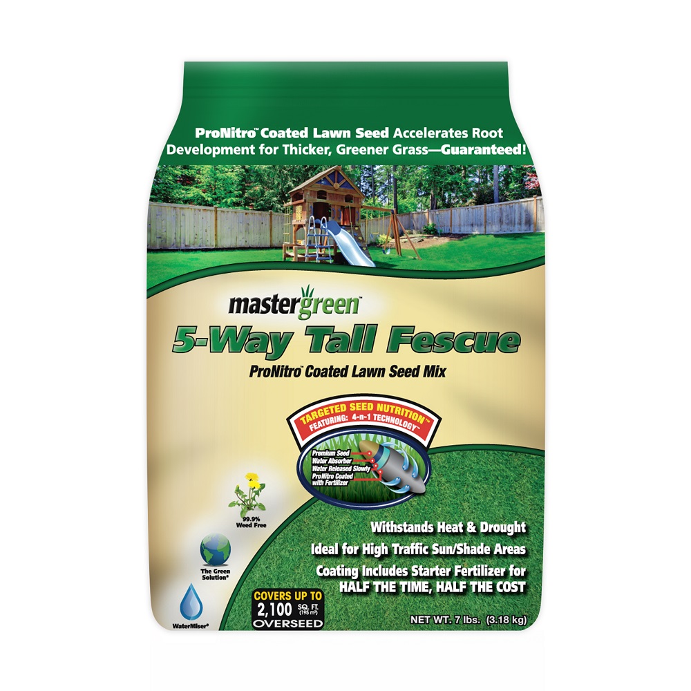 Mastergreen 5Way Tall Fescue, 7 lb. Bag Rural King