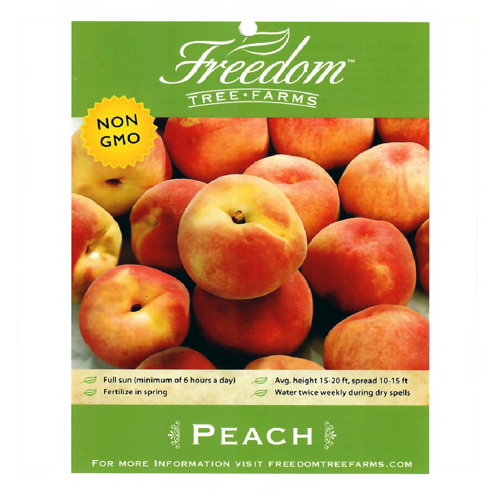 Freedom Tree Farms Rubyprince Yellow Peach Tree in 5 Gallon Bucket