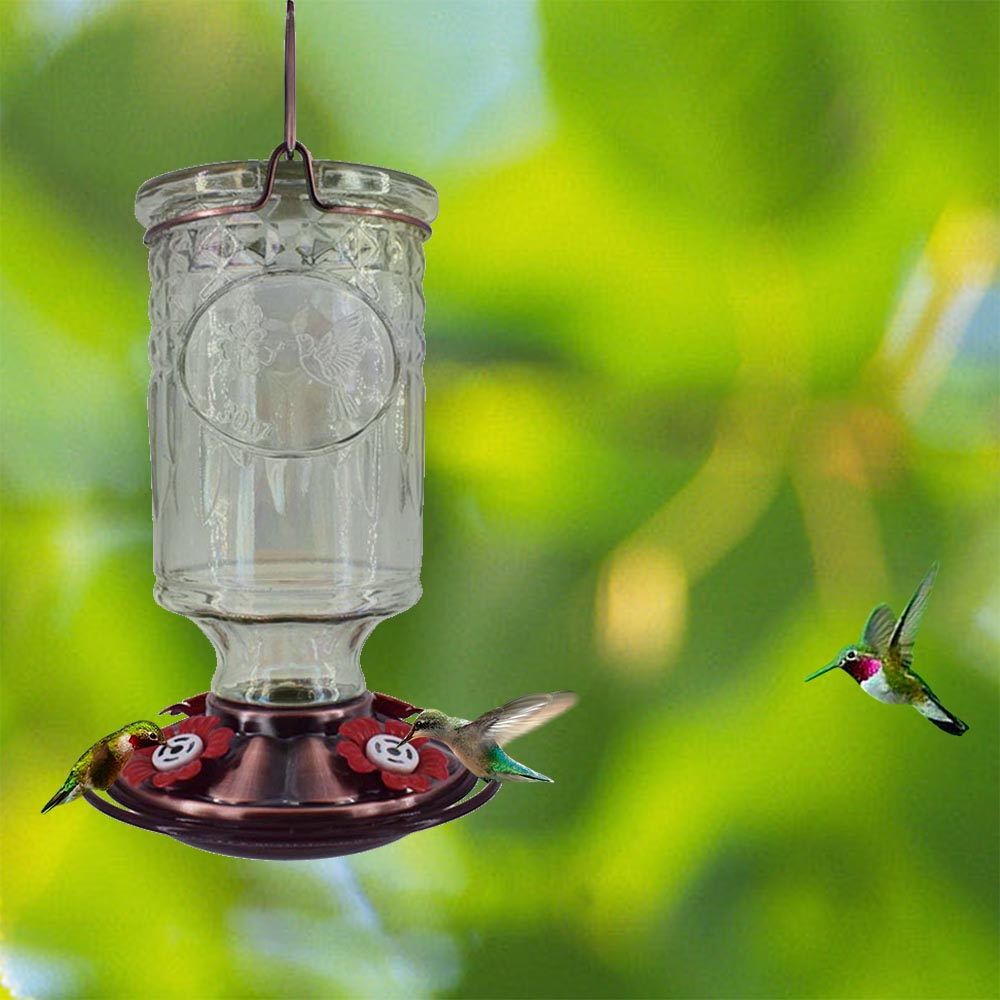 Bird's Café Glass Cylinder Hummingbird Feeder | Rural King
