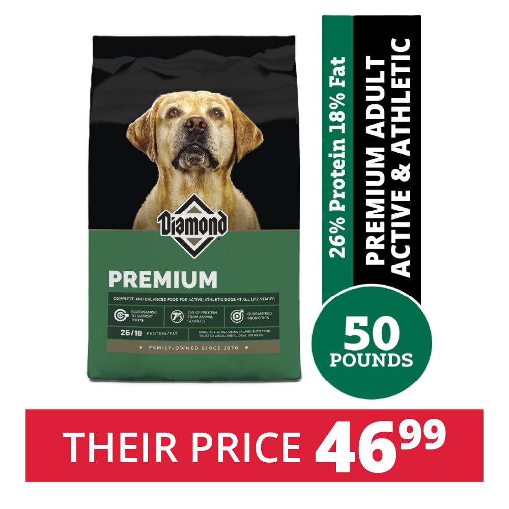 acana adult cat food ACANA Premium Pate main image 1