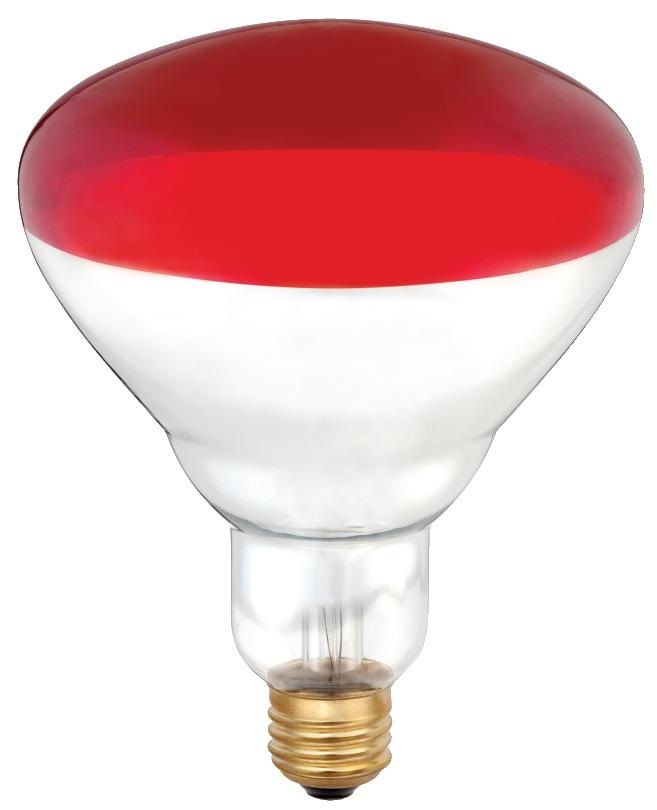 thumbnail image 2 of Blue Seal 020849 Red Indicator Neon Bulb For Convection Oven E31 Model - 230V 2 of 4