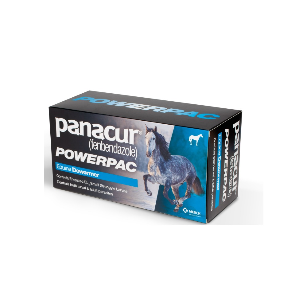 6a9ecd28c09167565f76dd70605510