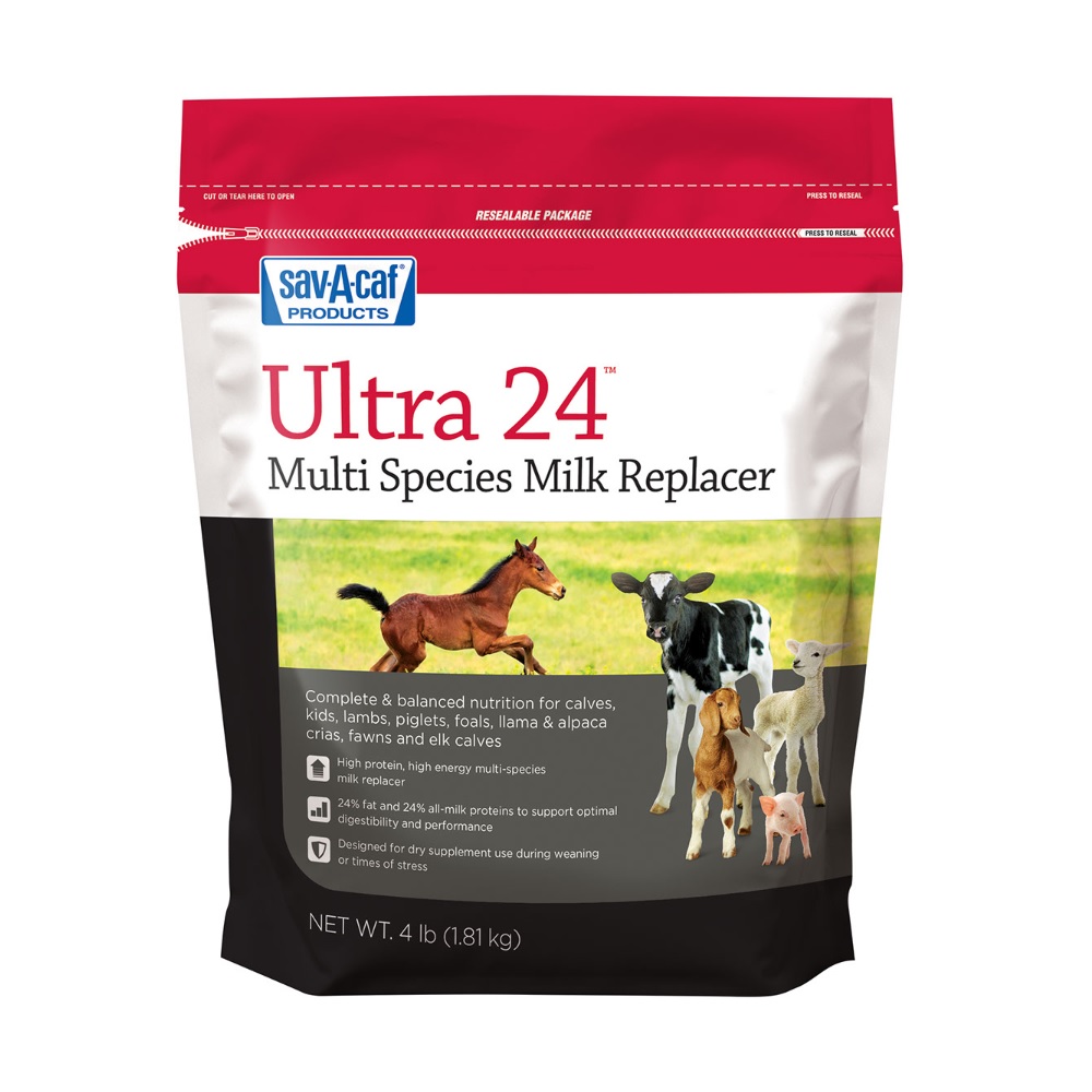 SavACaf Ultra 24 Milk Replacer, 4 lb. Bag Rural King