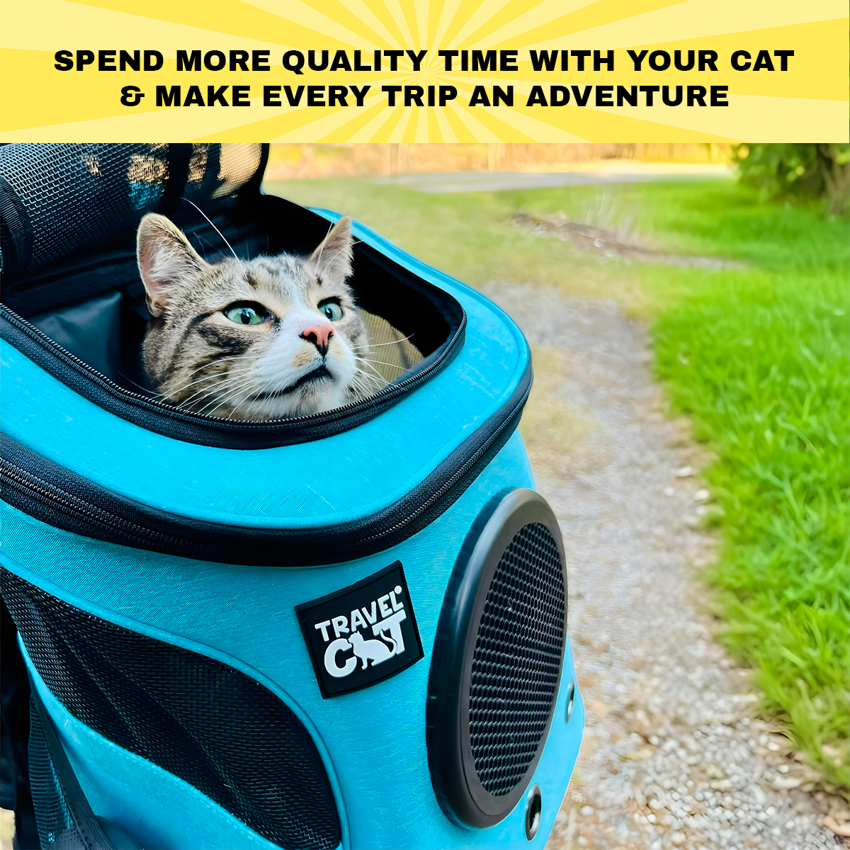 Travel Cat 