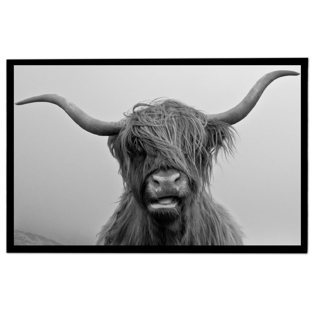 Backyard Expressions Wooden Frame Sign, Black and White Highland Cow, 36\" x 24\" 90869920000