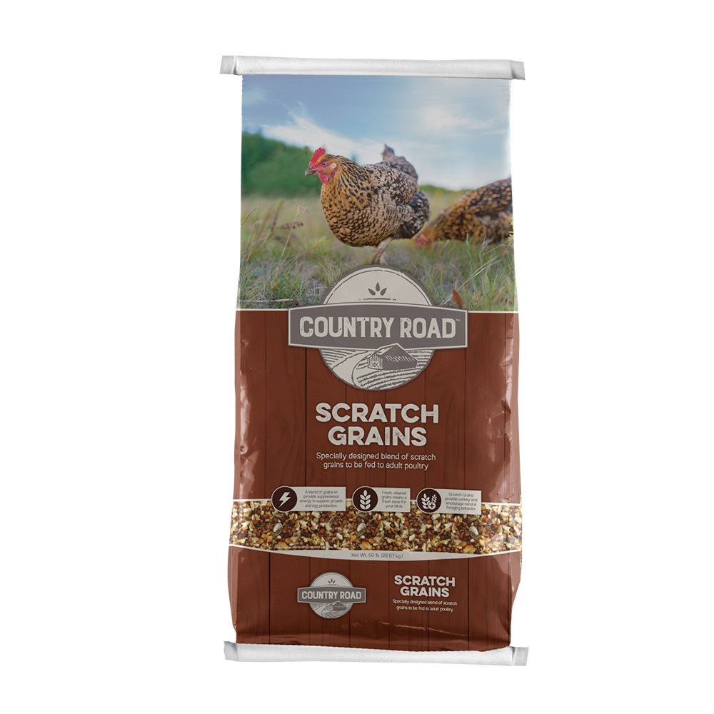 Country Road Scratch Grains Feed, 50 lb. Bag Rural King