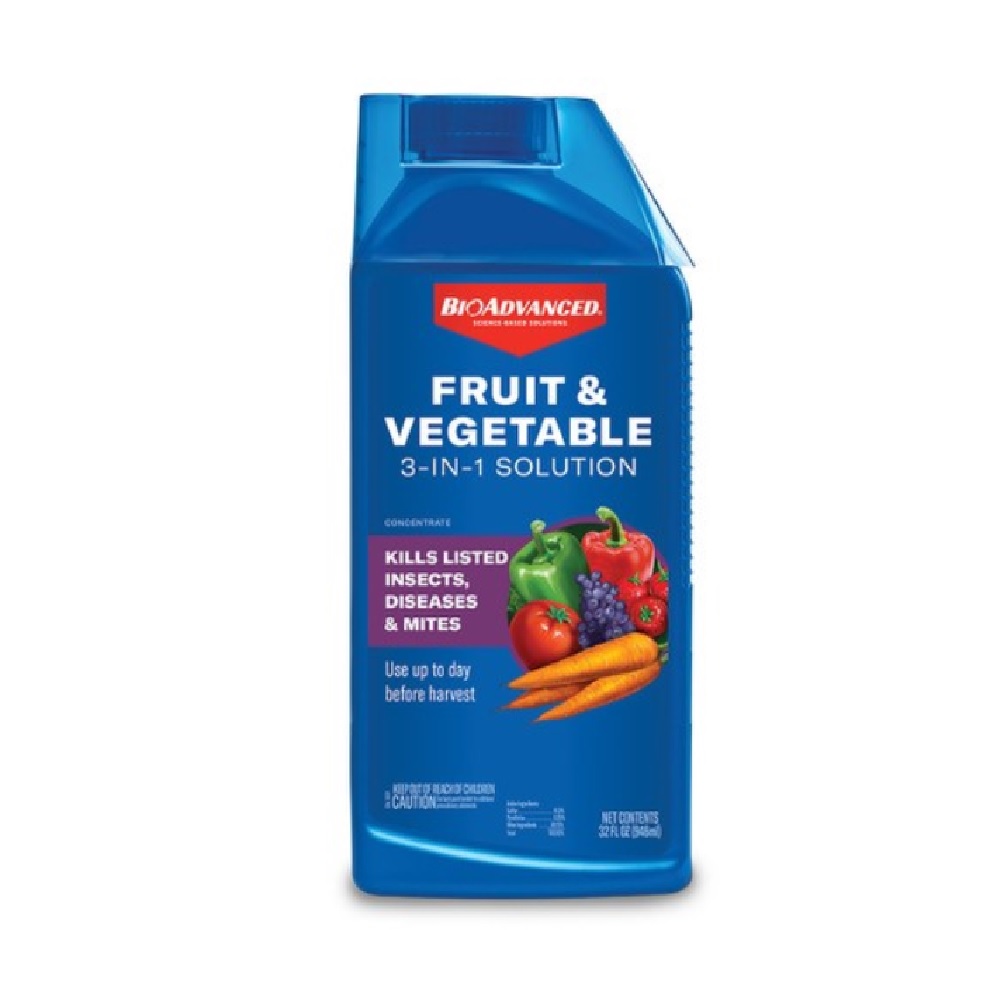 Awning Door: The Perfect 3-in-1 Solution for Your Home