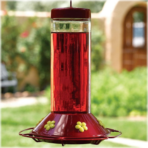 Perky-Pet Kolibri-Futterspender Aus Glas – 850 Ml, Mit Ameisen- & Bienenschutz, 6 Blumenöffnungen