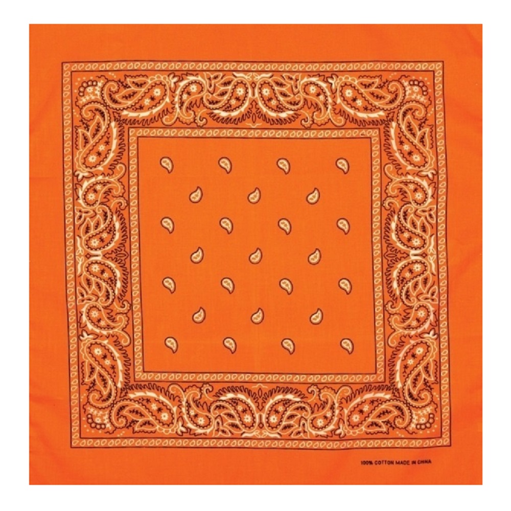 Artex Paisley Bandana Orange - 8B026 | Rural King