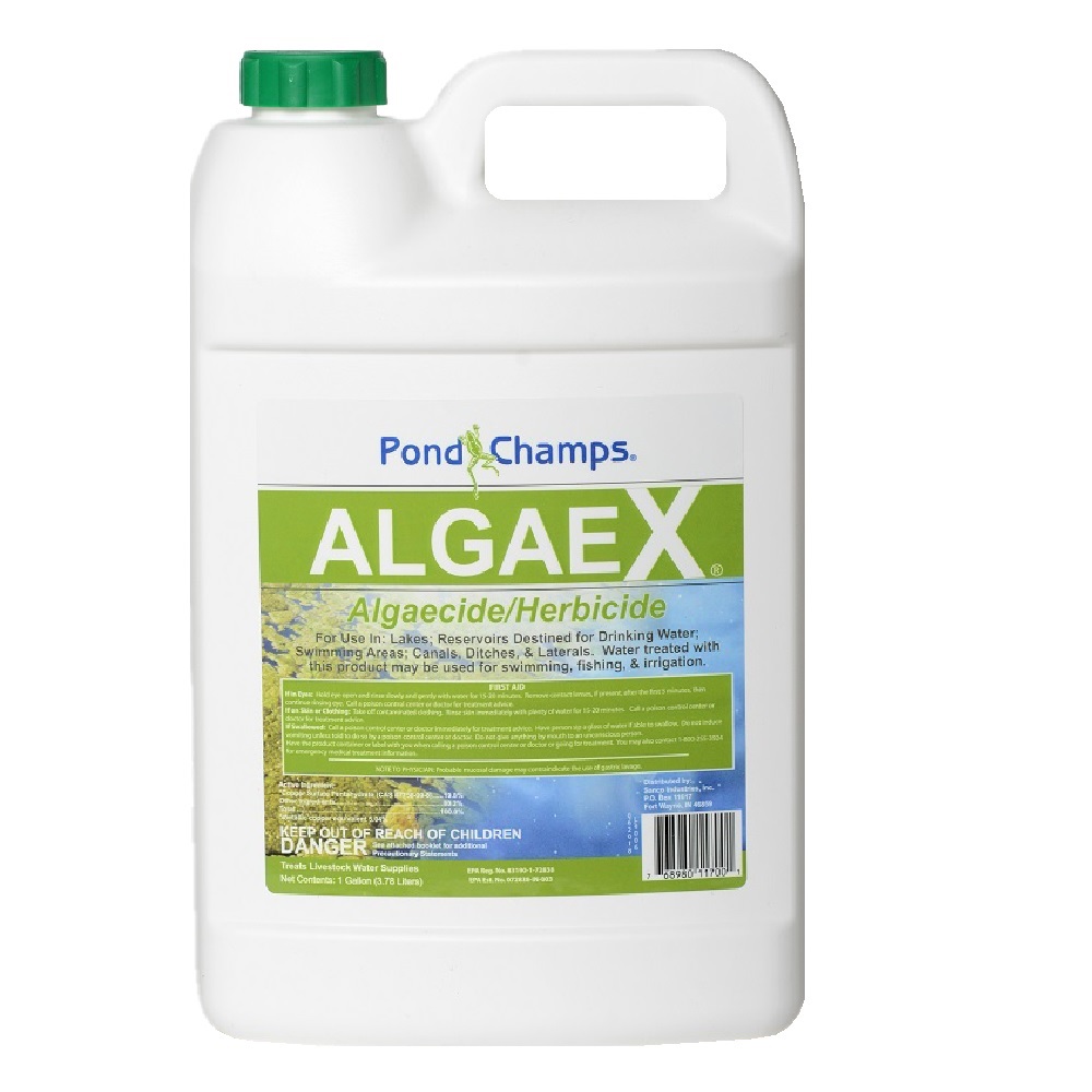 Pond Champs Algae X Algaecide/Herbicide, 1 Gallon 11700 Rural King