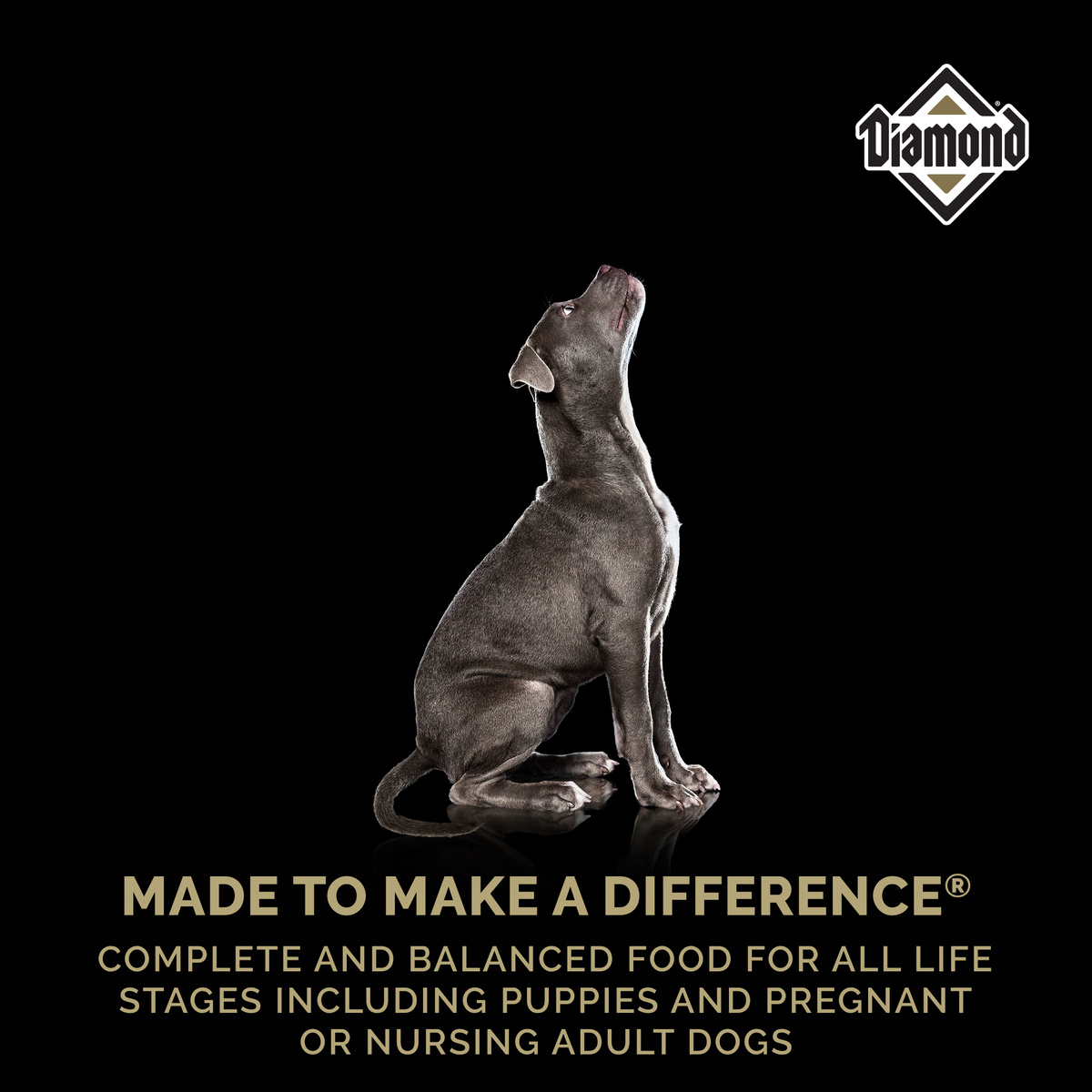 Diamond Puppy Food for Puppies Pregnant or Nursing Dogs, 20 lb