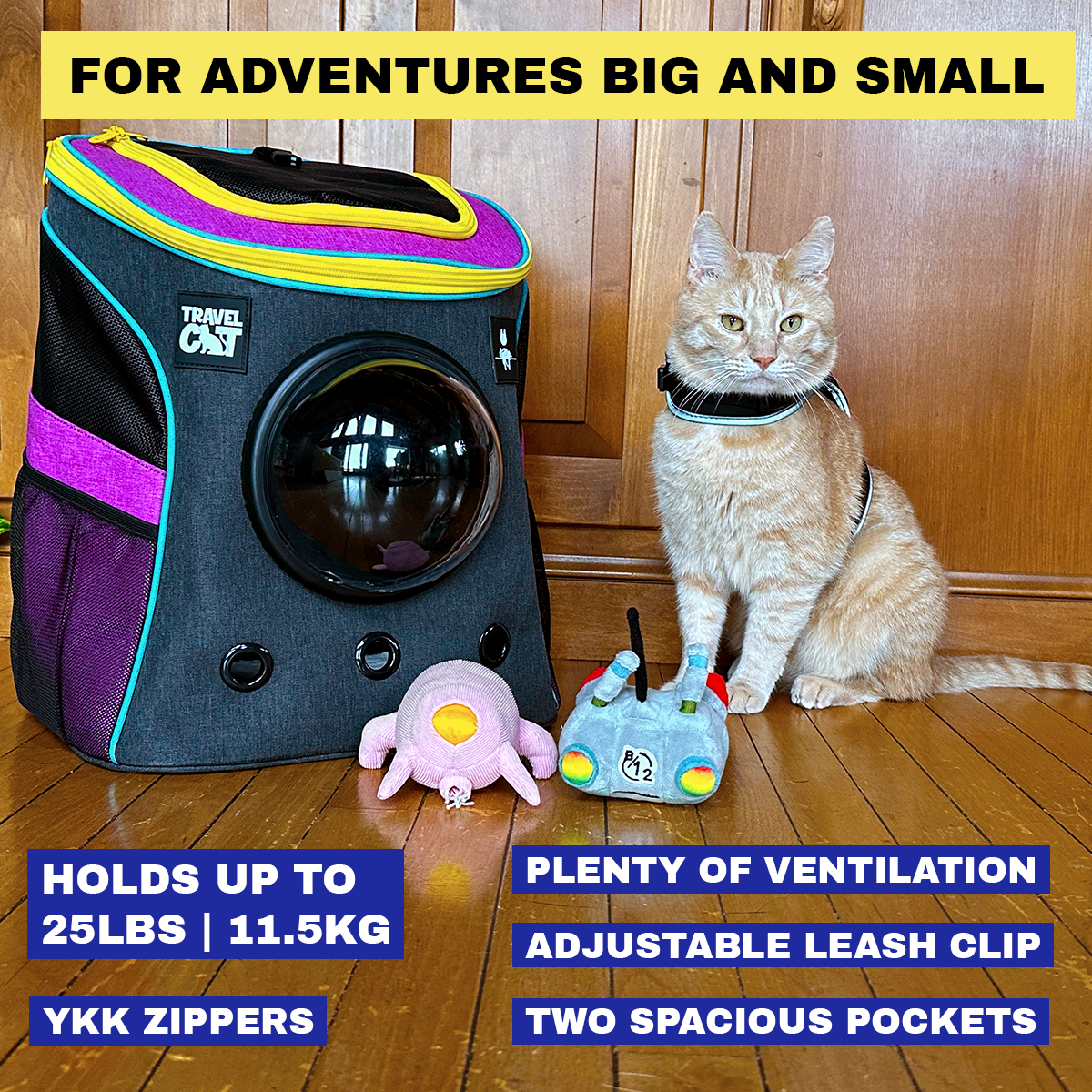 Travel Cat 