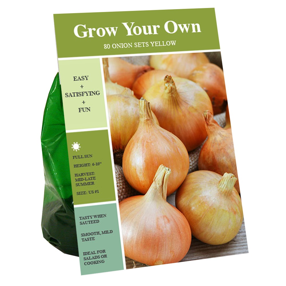 Van Zyverden- Inc. Onion Sets - Yellow | Rural King