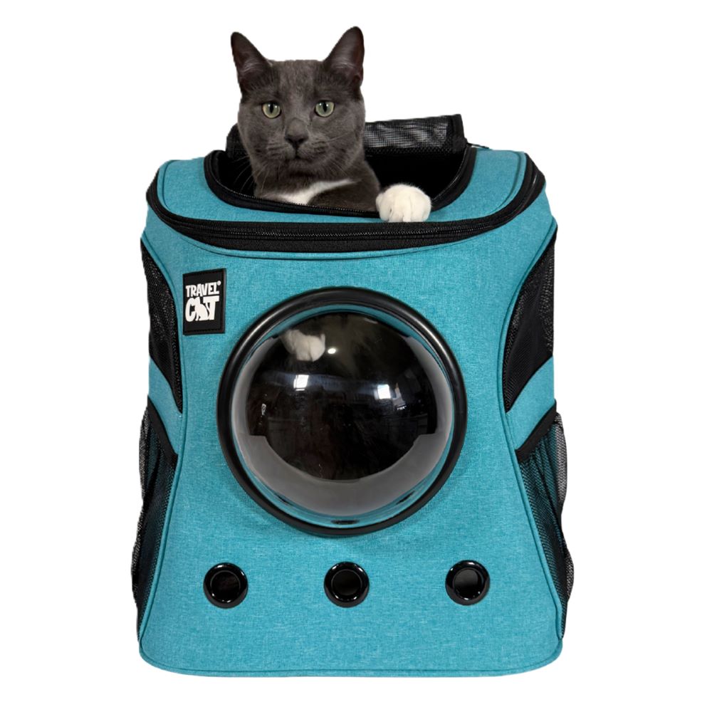 【 bagley's 】“FAT CAT”8個セット bagley's 】“FAT CAT”8個セット セールアウトドア・釣り・旅行用品