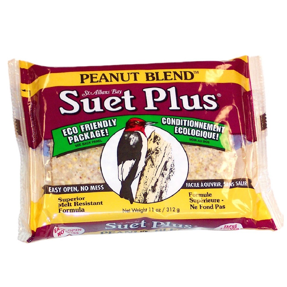 St. Albans Bay Wild Bird Plus Suet Cake Same-Day Delivery