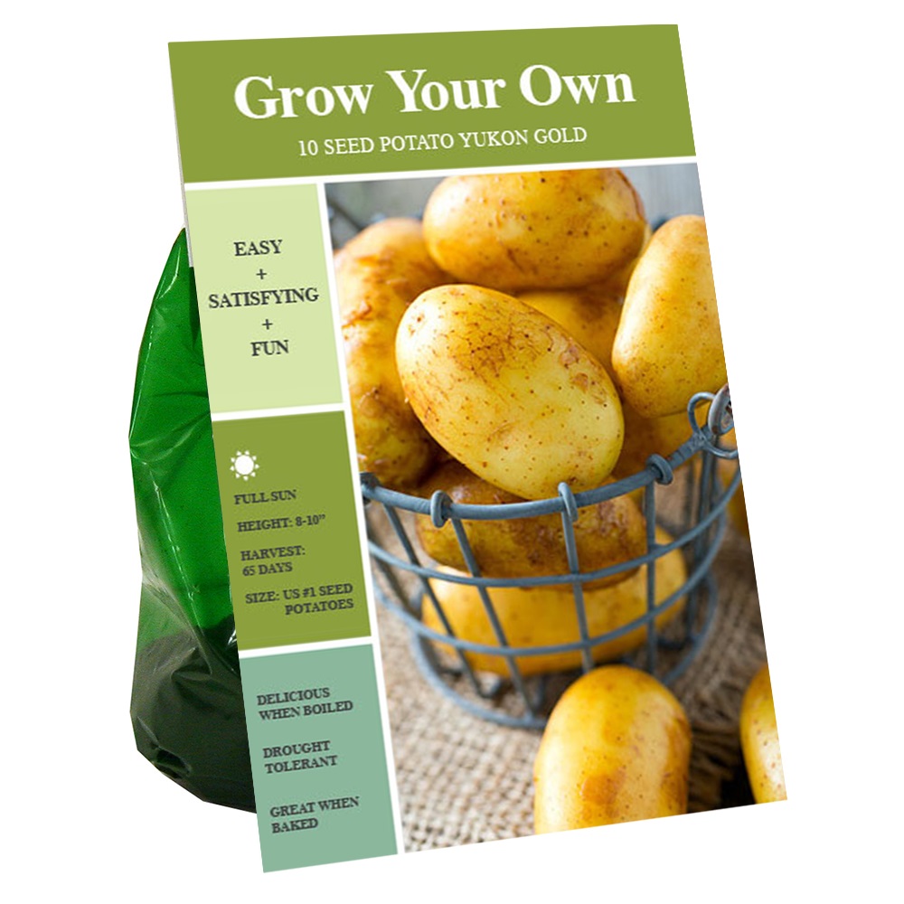 Van Zyverden Inc. Seed Potato - Yukon Gold | Rural King